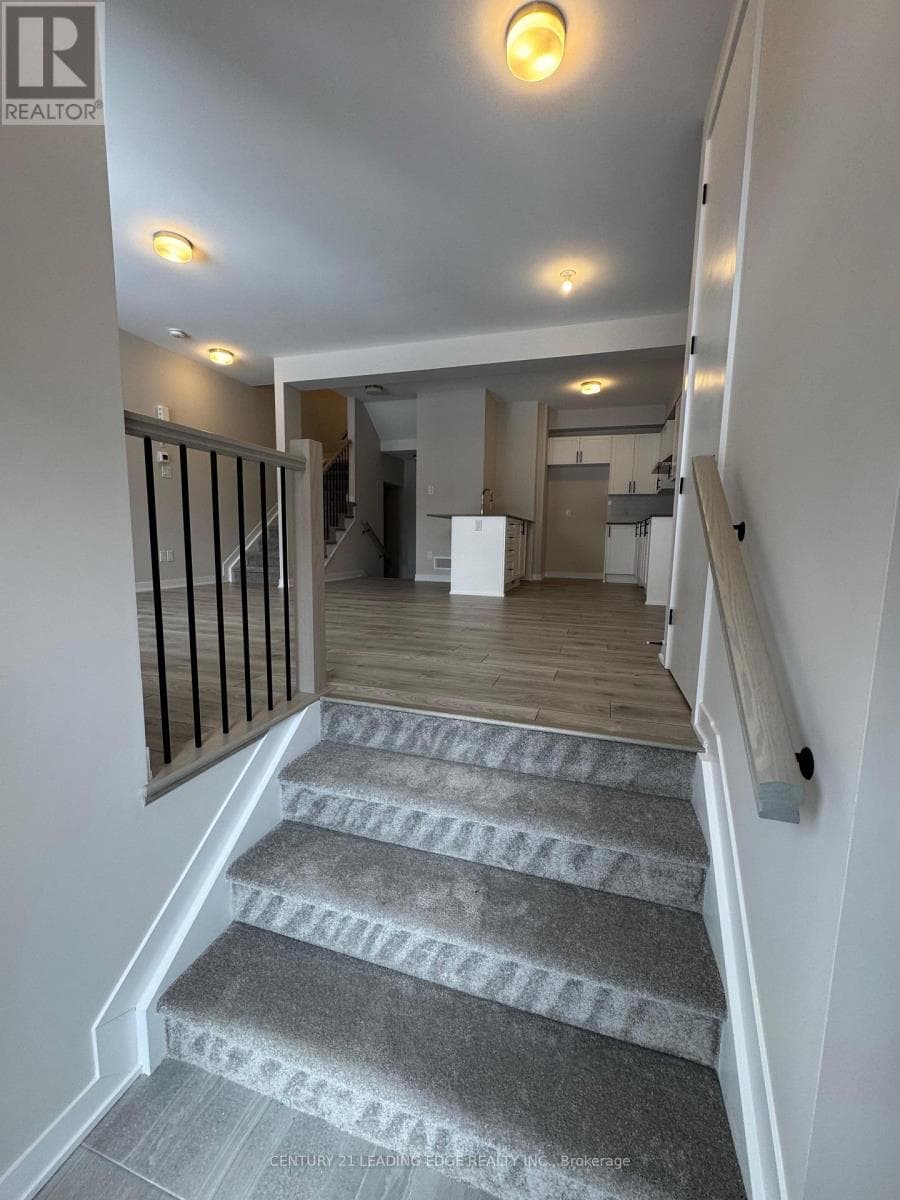 226 SPECKLED ALDER ROW — photo 3