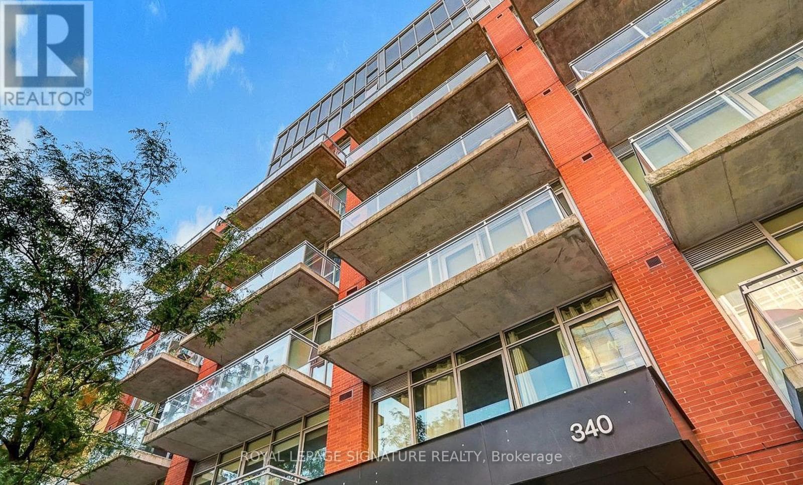 340 - 340 MCLEOD STREET — photo 3